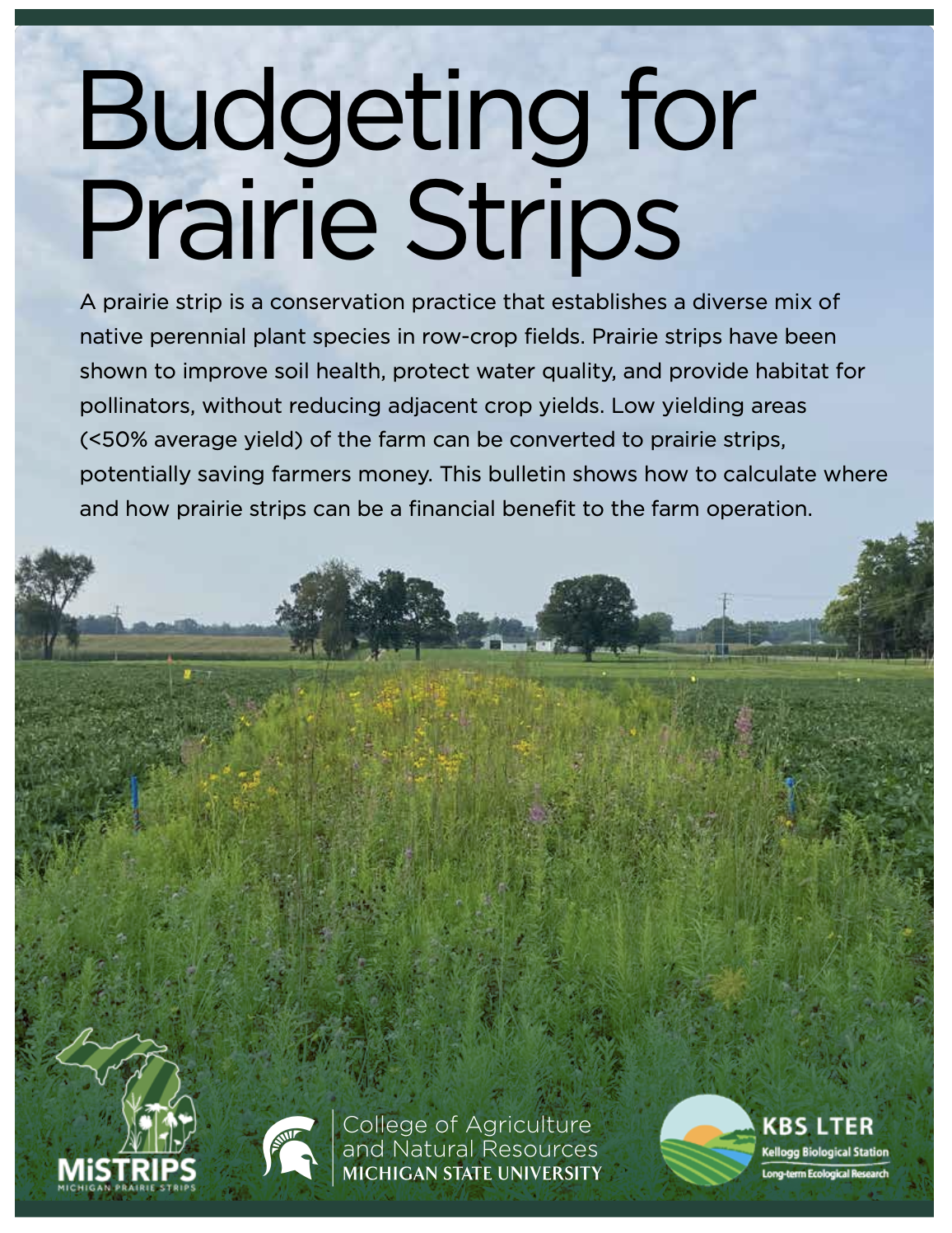 Screenshot 2025-03-04 at 11.40.05 AM.png